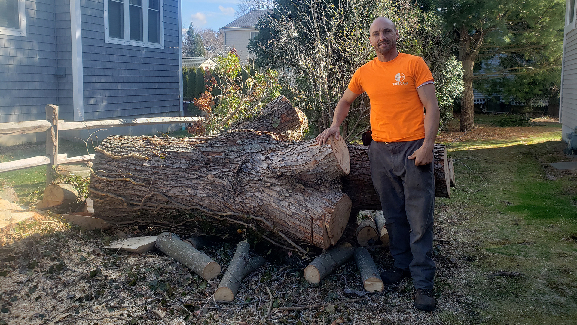 Tree Service CT | CT Tree Service Near Me | Affordable ...