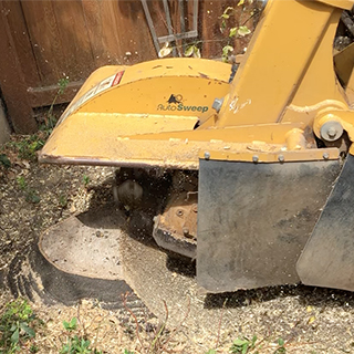 stump grinding removal